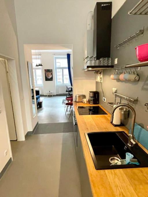 Klimatisierte Sehr Zentrale Wohnung-Loftstyle- Wien Eksteriør bilde